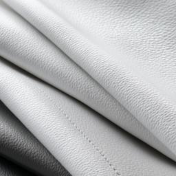 Brazilian membership 